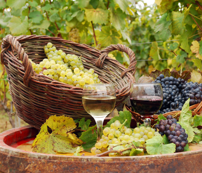 Winery Insurance