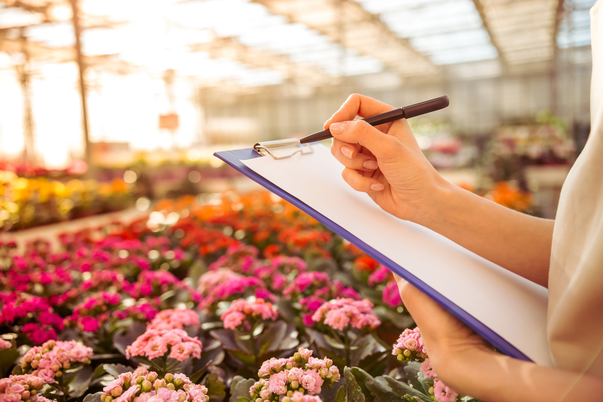 The Benefits of Nursery Insurance The Lyman Agency